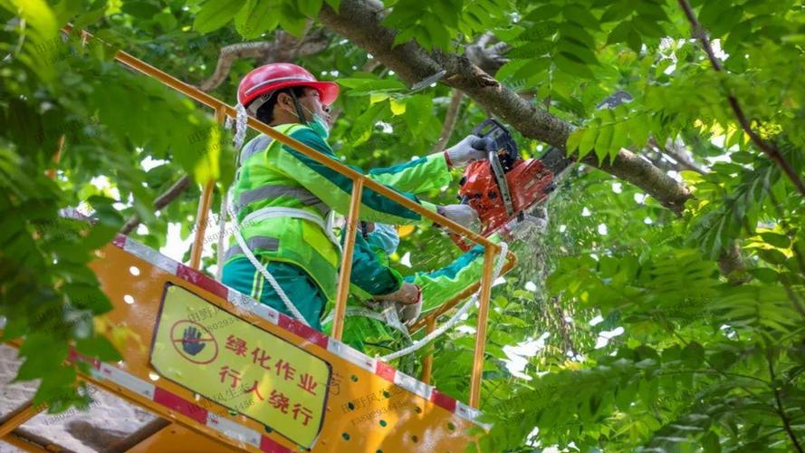 太行山绿化工程五标段中标